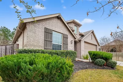 210 Emory Birch Drive, Montgomery, TX 77316 - Photo 3