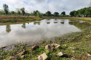 33640 Hannibal Rd, Fulshear, TX 77441 - Photo 5