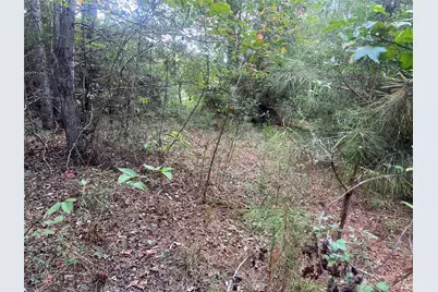 7926 E Fm 942, Livingston, TX 77351 - Photo 15