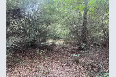 7926 E Fm 942, Livingston, TX 77351 - Photo 13