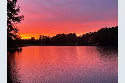 251 County Road, Goodrich, TX 77335 - Photo 11