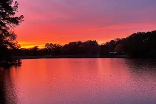 251 County Rd, Goodrich, TX 77335 - Photo 11