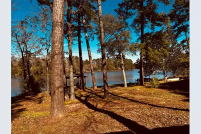 251 County Road, Goodrich, TX 77335 - Photo 7