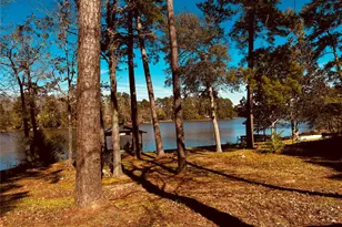 251 County Rd, Goodrich, TX 77335 - Photo 7