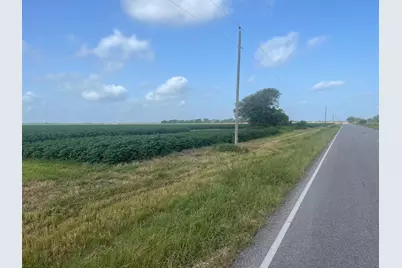 10815 Koym Road, Beasley, TX 77417 - Photo 3