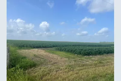 10815 Koym Road, Beasley, TX 77417 - Photo 5