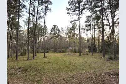 14468 Ehler Lane, Montgomery, TX 77356 - Photo 19