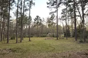 14468 Ehler Ln, Montgomery, TX 77356 - Photo 19