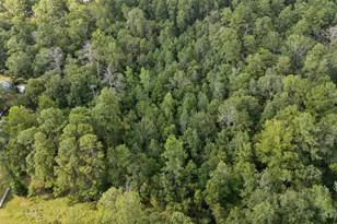 00 E West St, Livingston, TX 77351 - Photo 1