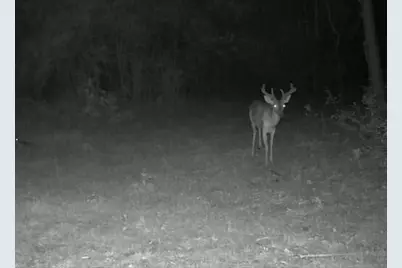 1500 Fm 1416, Newton, TX 75928 - Photo 21