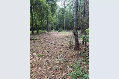 1500 Fm 1416, Newton, TX 75928 - Photo 13