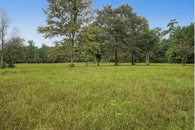 272 Tom Marsh Road, Livingston, TX 77351 - Photo 43