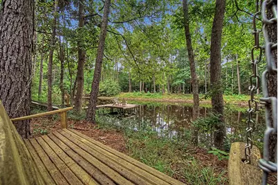 272 Tom Marsh Road, Livingston, TX 77351 - Photo 37