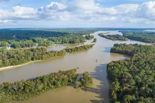 207 Yellow Rosewood Ln, New Caney, TX 77357 - Photo 19