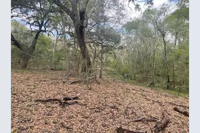 2419 Fm 1459 Road, Sweeny, TX 77480 - Photo 11