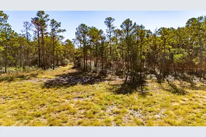 018 Magnolia Ranch Road, Onalaska, TX 77360 - Photo 11