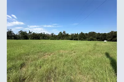 Lot 87 Horseshoe Lake Ranch, Marquez, TX 77865 - Photo 5