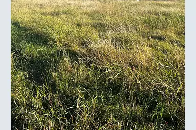 34330 Fm 521, Angleton, TX 77515 - Photo 7