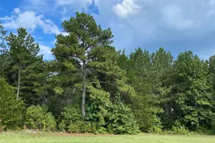 15495 Red Hawk Rd, Willis, TX 77378 - Photo 7