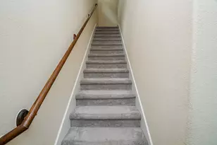 446 N Live Oak St, Houston, TX 77003 - Photo 5