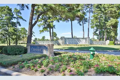 17314 Cedar Placid Lane, Houston, TX 77068 - Photo 45