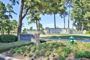 17314 Cedar Placid Ln, Houston, TX 77068 - Photo 45