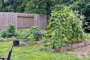 14951 Colt Ln, Willis, TX 77378 - Photo 13