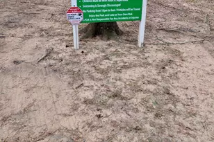 14951 Colt Ln, Willis, TX 77378 - Photo 15