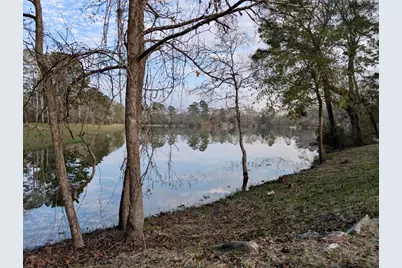 14951 Colt Lane, Willis, TX 77378 - Photo 19