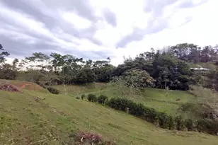 0000 San Carlos, , CO - Photo 5