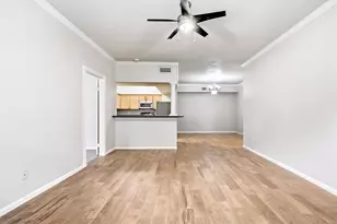 2255 Braeswood Park Dr, Houston, TX 77030 - Photo 9