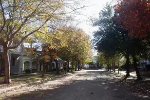 1021 Grey Fox Dr, Aubrey, TX 76227 - Photo 3