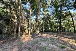 193 Bonnie Maude Blvd, Livingston, TX 77351 - Photo 29