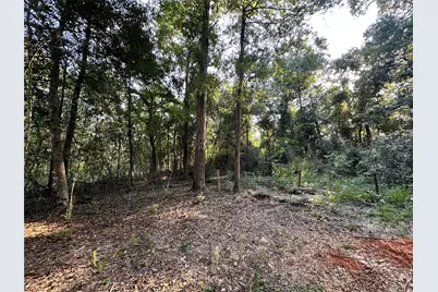 193 Bonnie Maude Boulevard, Livingston, TX 77351 - Photo 5