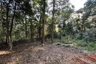 193 Bonnie Maude Blvd, Livingston, TX 77351 - Photo 5