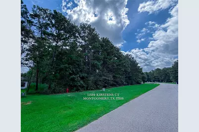 11559 Kirstens Court, Montgomery, TX 77316 - Photo 9