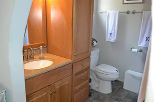 10530 Permian Dr, Sugar Land, TX 77498 - Photo 49
