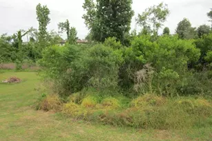 192 Maple Cove, Onalaska, TX 77360 - Photo 1