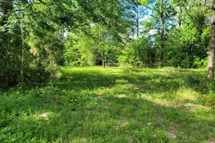 15778 Hayden Rd, Conroe, TX 77306 - Photo 1