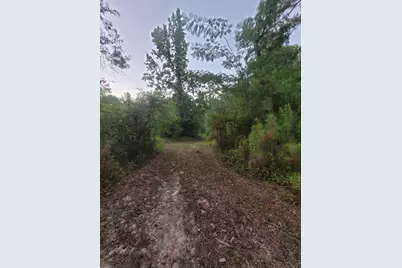 15778 Hayden Road, Conroe, TX 77306 - Photo 3