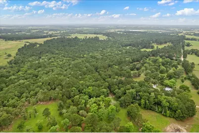 Tbd Cr446, Navasota, Tx 77868, Navasota, TX 77868 - Photo 11