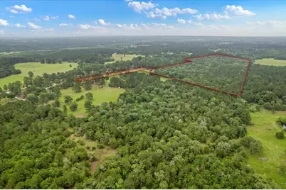 Tbd Cr446, Navasota, Tx 77868, Navasota, TX 77868 - Photo 7