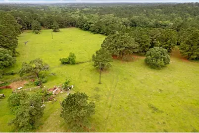 Tbd Cr446, Navasota, Tx 77868, Navasota, TX 77868 - Photo 19