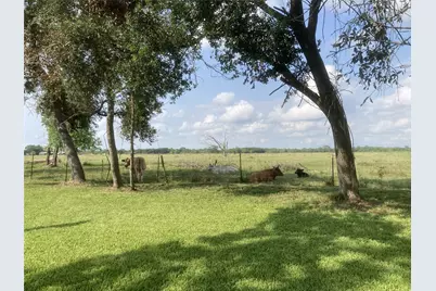4003 Country Trails Street, Alvin, TX 77511 - Photo 17