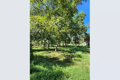Lot 244 Holly Street, Porter, TX 77365 - Photo 3