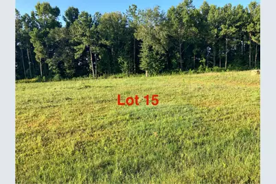 1041 Tarkington Timbers Drive, Cleveland, TX 77327 - Photo 1