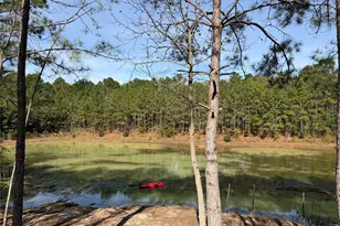 18750 Keenan Cut Off Rd, Montgomery, TX 77316 - Photo 43