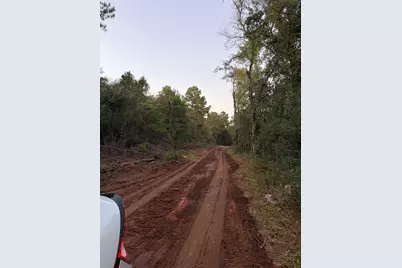 18750 Keenan Cutoff Rd, Montgomery, TX 77316 - Photo 35