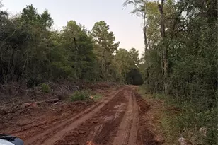 18750 Keenan Cut Off Rd, Montgomery, TX 77316 - Photo 35