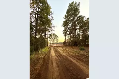 18750 Keenan Cutoff Rd, Montgomery, TX 77316 - Photo 39